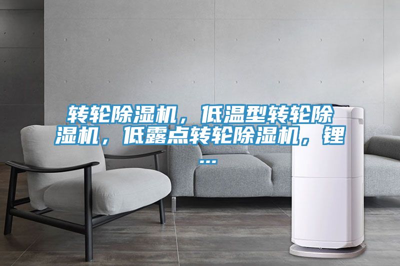 轉(zhuǎn)輪除濕機(jī)，低溫型轉(zhuǎn)輪除濕機(jī)，低露點(diǎn)轉(zhuǎn)輪除濕機(jī)，鋰 ...