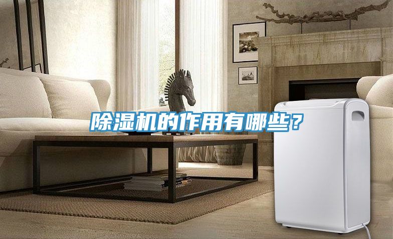 除濕機的作用有哪些？