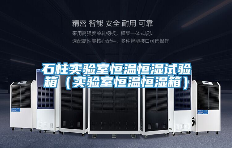 石柱實(shí)驗(yàn)室恒溫恒濕試驗(yàn)箱(實(shí)驗(yàn)室恒溫恒濕箱)