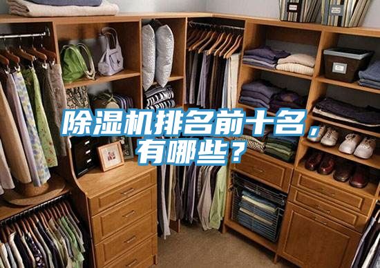 除濕機排名前十名，有哪些？