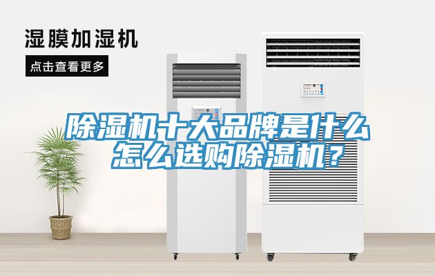 除濕機(jī)十大品牌是什么 怎么選購除濕機(jī)？