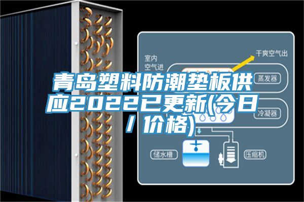 青島塑料防潮墊板供應2022已更新(今日/價格)