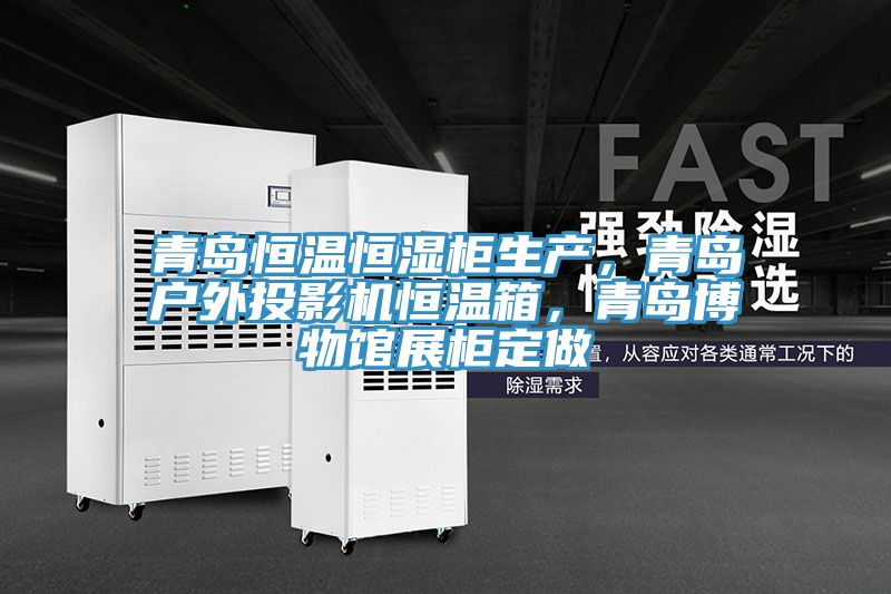 青島恒溫恒濕柜生產(chǎn),青島戶外投影機恒溫箱,青島博物館展柜定做