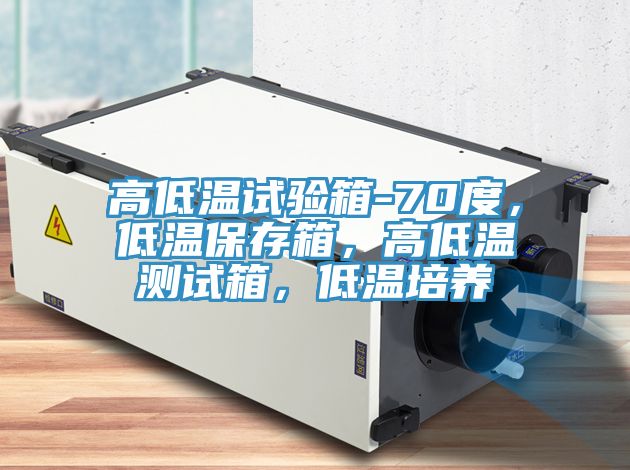 高低溫試驗(yàn)箱-70度,低溫保存箱,高低溫測試箱,低溫培養(yǎng)