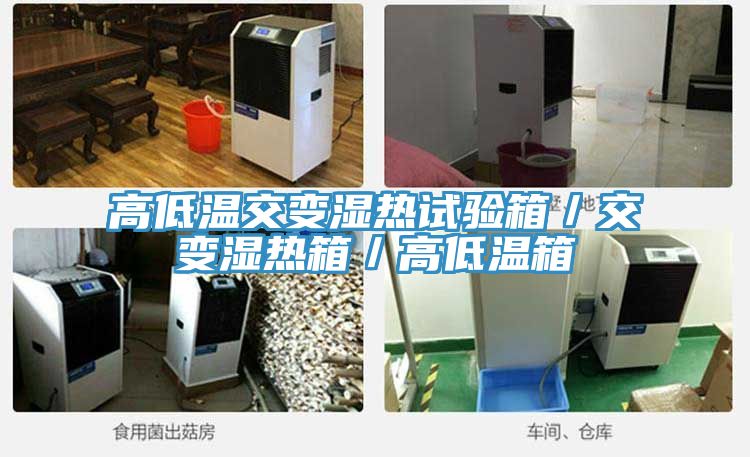高低溫交變濕熱試驗(yàn)箱/交變濕熱箱/高低溫箱
