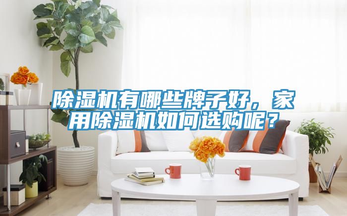 除濕機有哪些牌子好,家用除濕機如何選購呢?