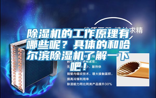 除濕機的工作原理有哪些呢？具體的和哈爾濱除濕機了解一下吧！