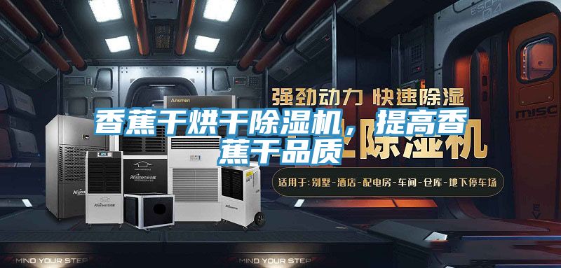 香蕉干烘干除濕機,提高香蕉干品質(zhì)