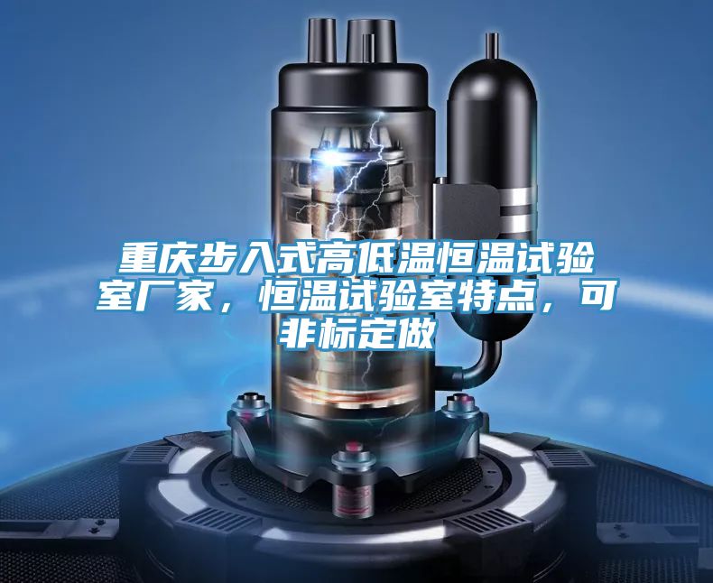重慶步入式高低溫恒溫試驗室廠家,恒溫試驗室特點,可非標(biāo)定做