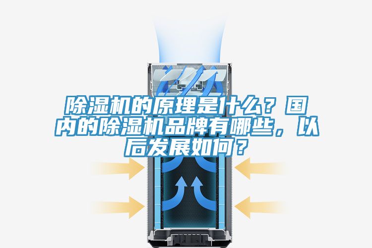 除濕機的原理是什么?國內的除濕機品牌有哪些,以后發展如何?