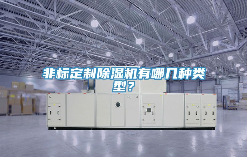 非標定制除濕機有哪幾種類型？