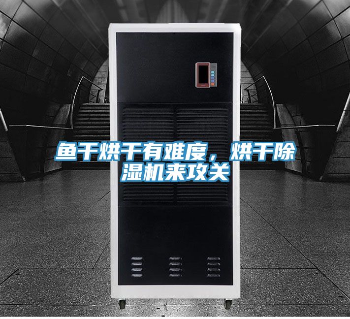魚干烘干有難度,烘干除濕機(jī)來攻關(guān)