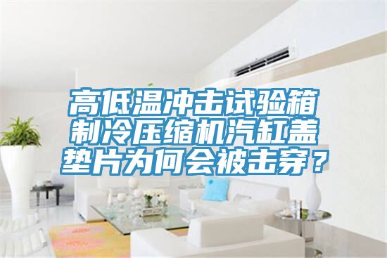 高低溫沖擊試驗箱制冷壓縮機汽缸蓋墊片為何會被擊穿?