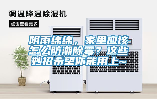 陰雨綿綿，家里應該怎么防潮除霉？這些妙招希望你能用上~