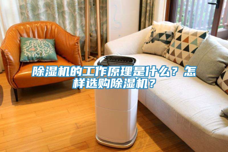 除濕機的工作原理是什么？怎樣選購除濕機？