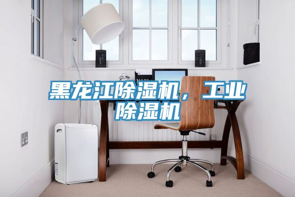 黑龍江除濕機,工業(yè)除濕機